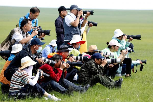 2022年天津摄影团走进大草々原